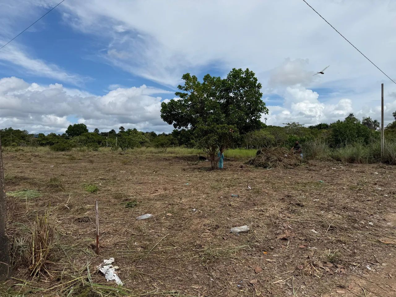 Terreno  - Foto 5