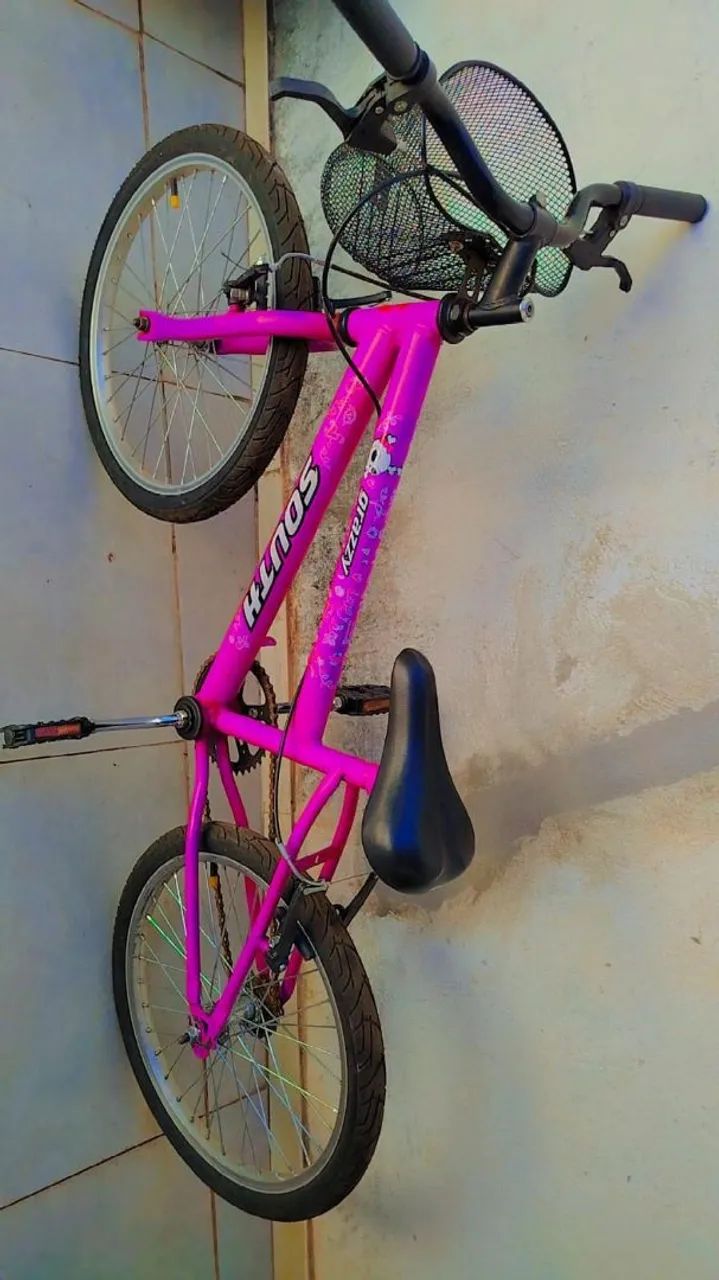Biscicleta  - Foto 3