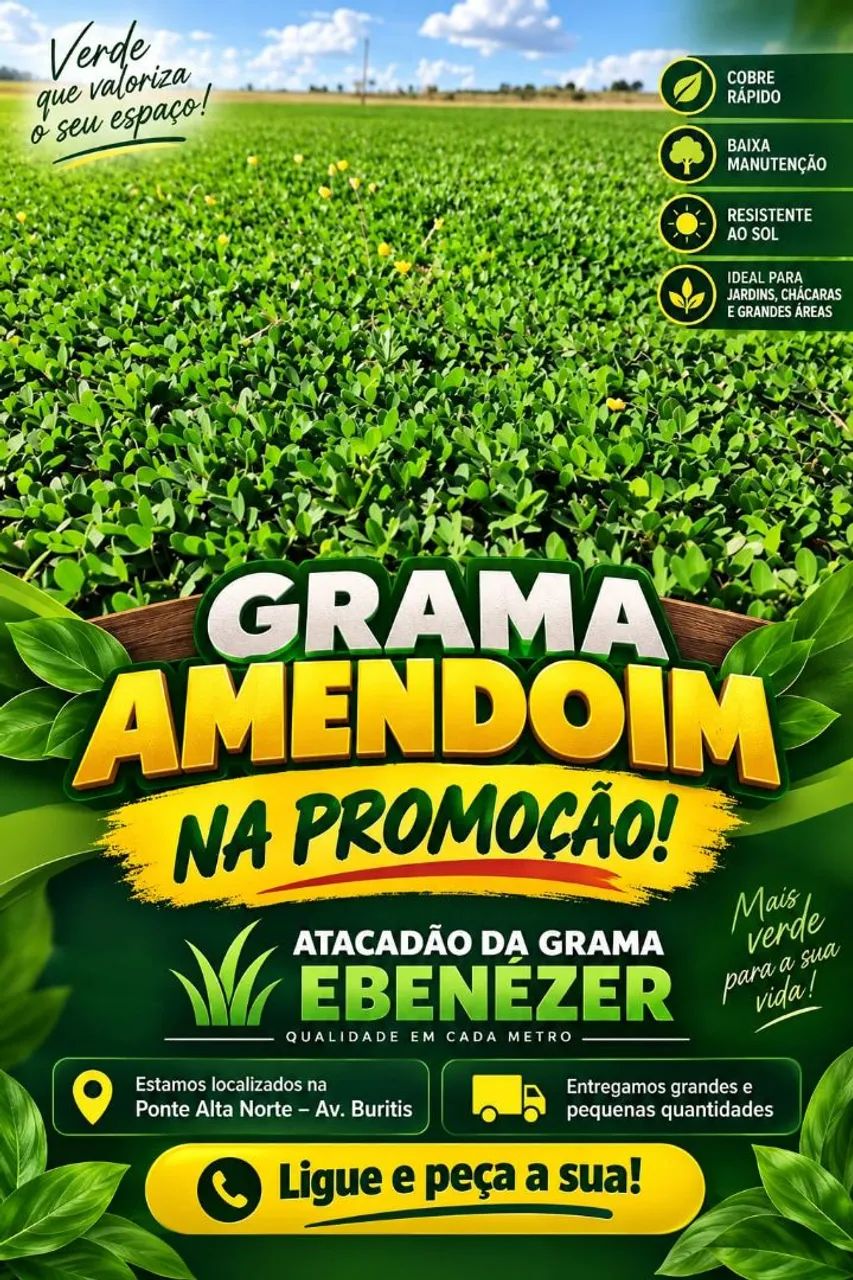 Grama amendoim 20,00 reais o metro 