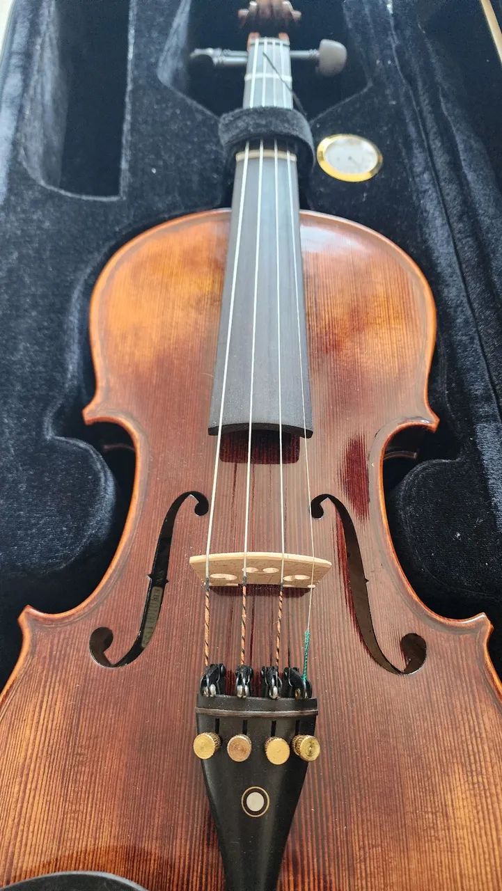 Violino Eagle - Foto 4