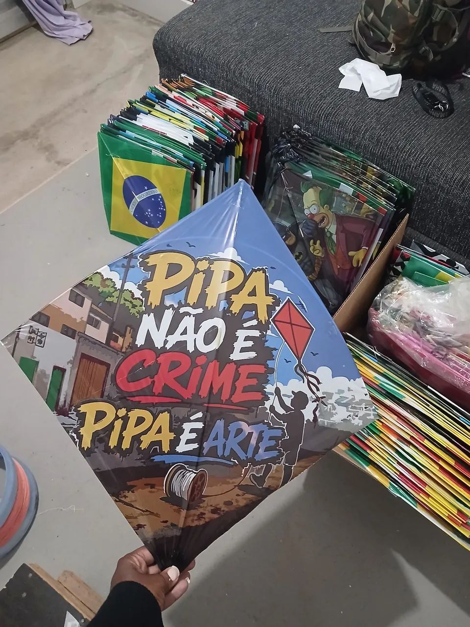 Papagaios - Foto 5