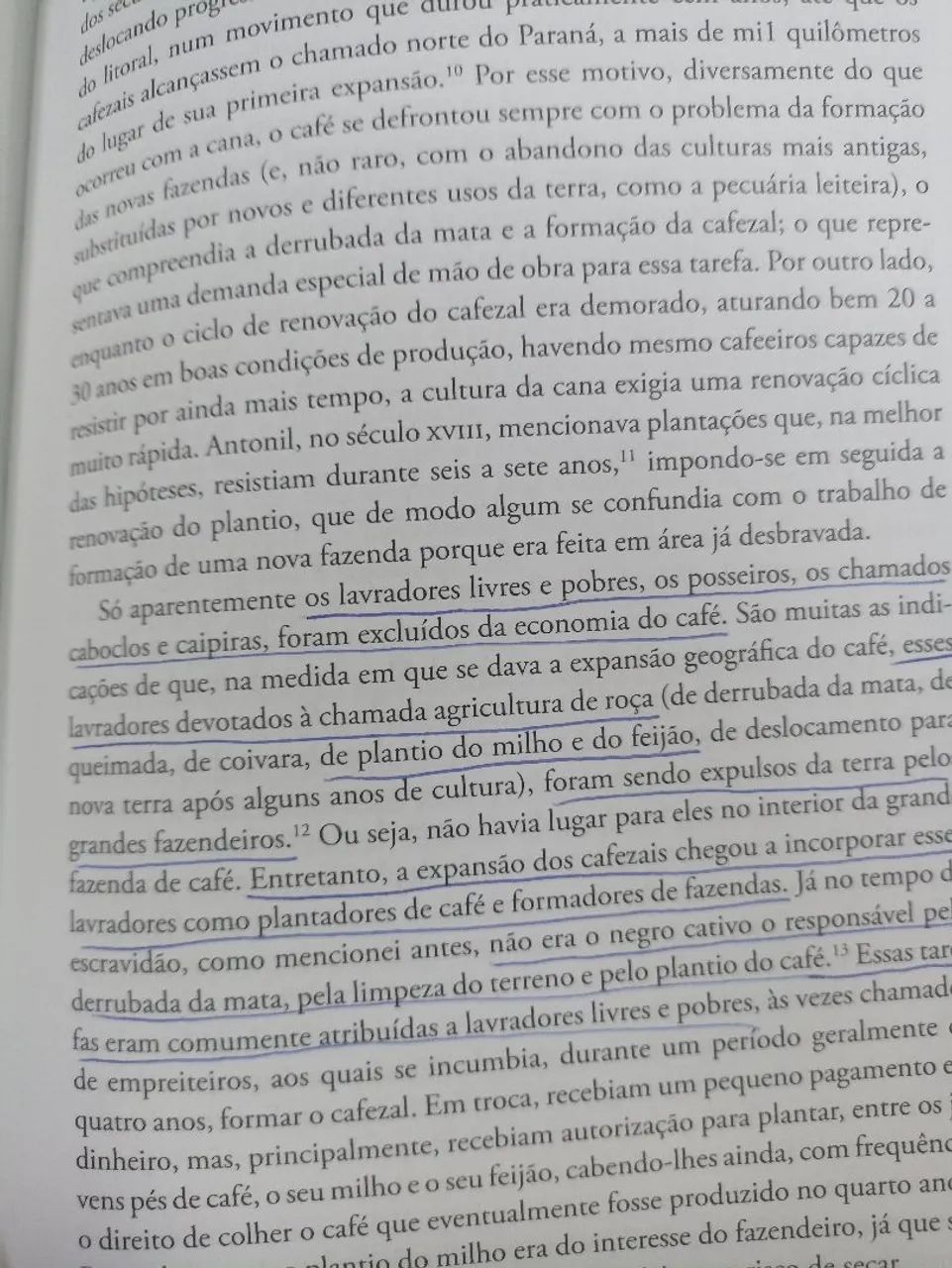 O Cativeiro da Terra - Foto 4