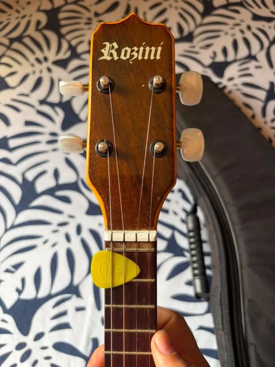 Banjo Rozini  - Foto 5