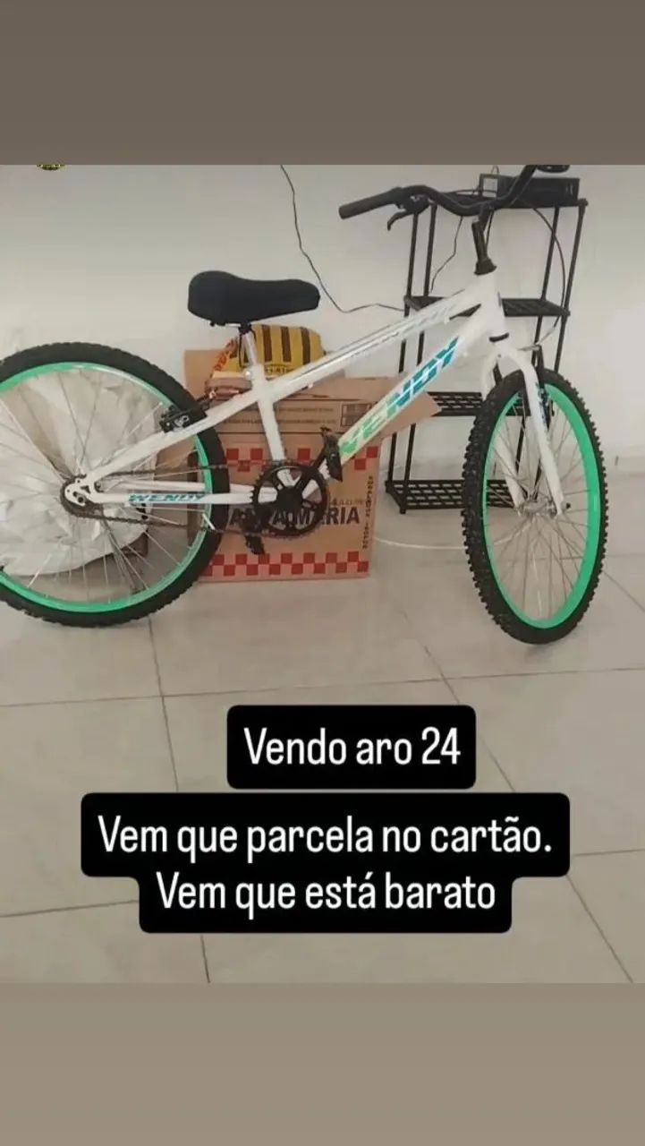 Bicicleta Aro 24