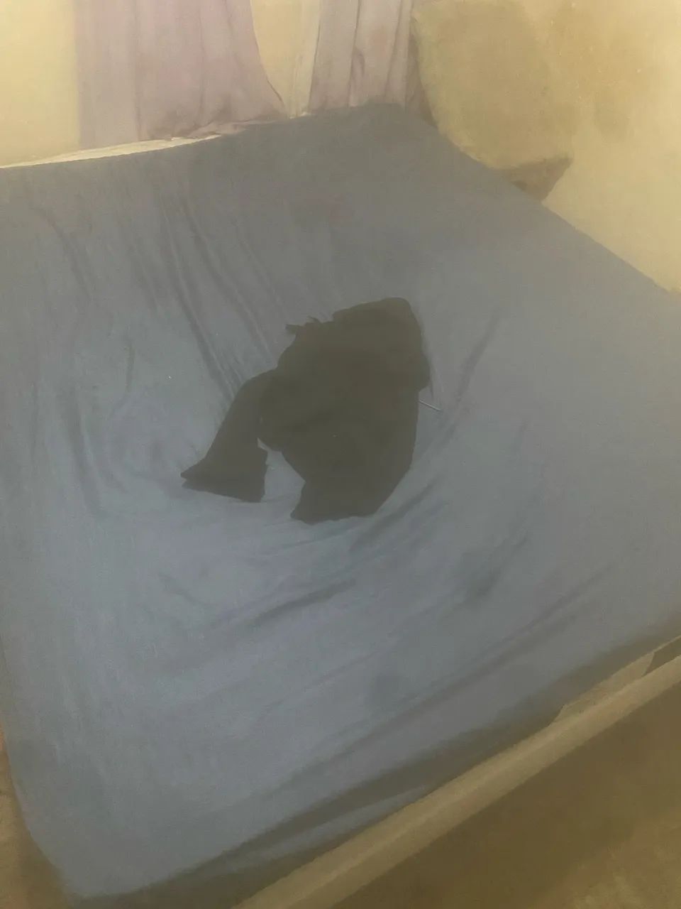 Cama Queen  - Foto 4
