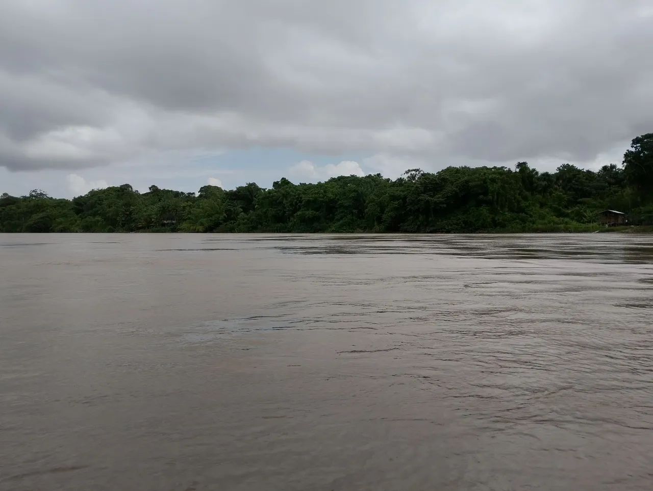 Vendo terreno  - Foto 4