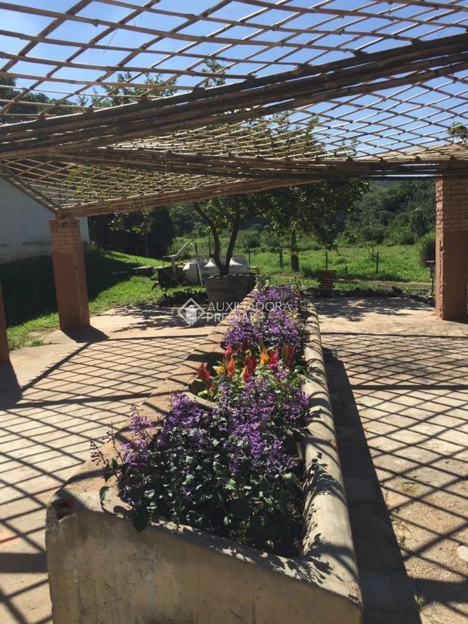 Fazenda à Venda no Centro com Área Total de 62.890 m² e Sem Dormitórios. - Foto 5