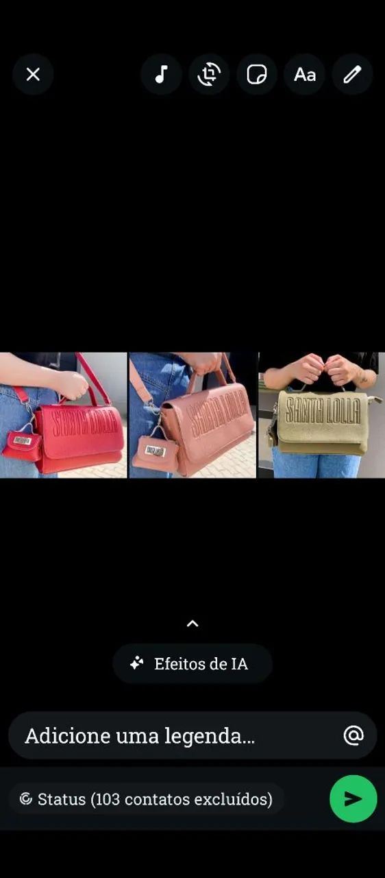 Bolsa baú feminina SL. 