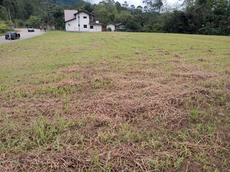 Terreno RODEIO - SC - Foto 4