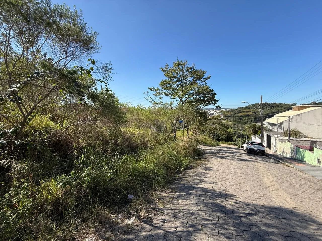 Lote / Terreno em Forquilhas - São José - Foto 3
