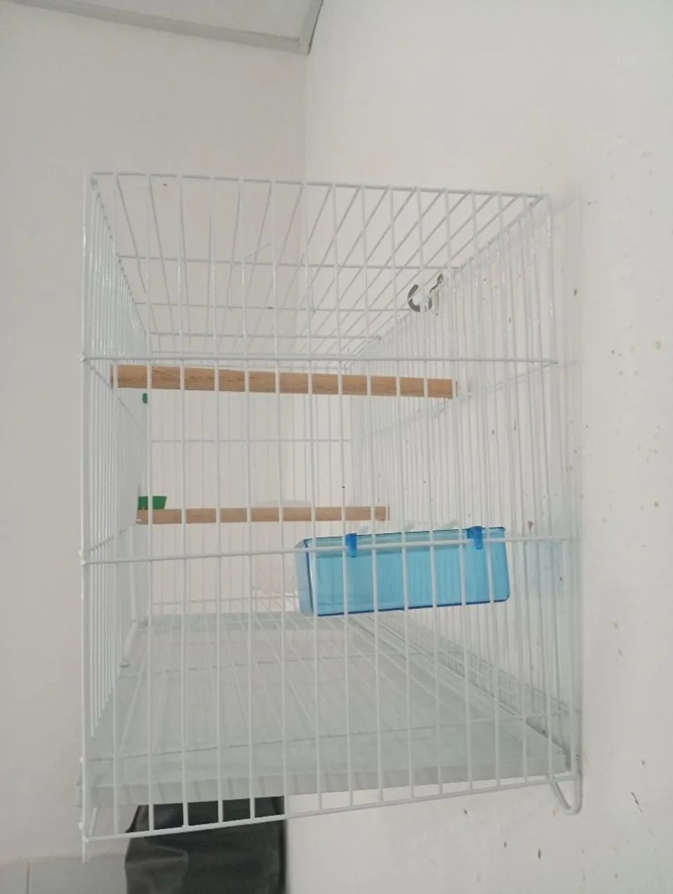Gaiola nova - Foto 2