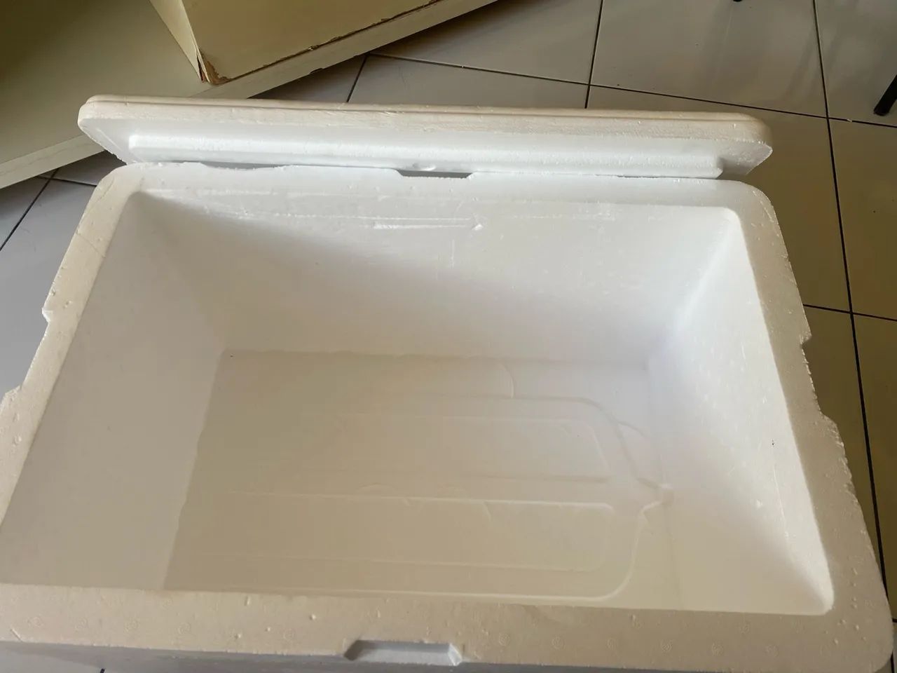 Caixa de isopor - Foto 2