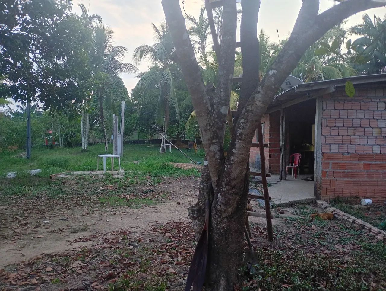  SÍTIO DOS SONHOS R$ 240.000 - Foto 2