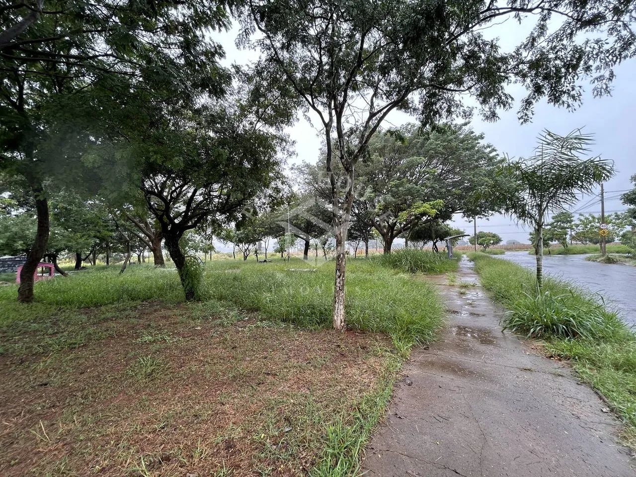 Terreno no Palmeira Real em Limeira-SP