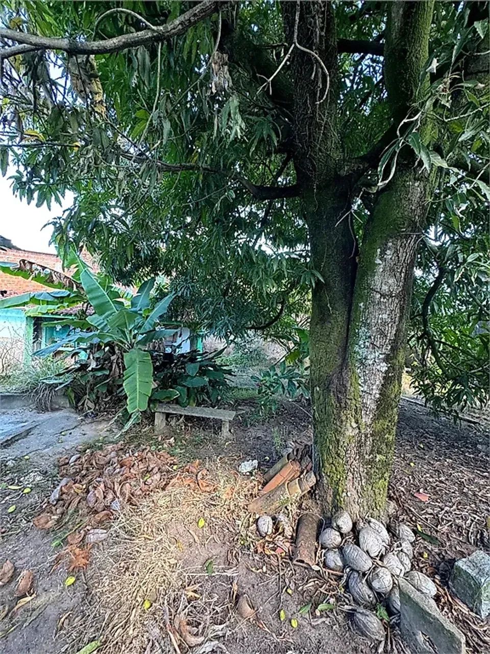 Terreno 258m² - Tabuleiro Do Martins - Foto 3