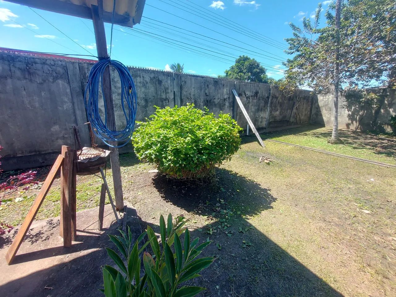 Jardinagem e paisagismo  - Foto 3