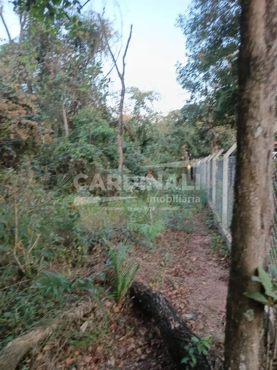 Terreno Padrão em Brotas - Foto 4
