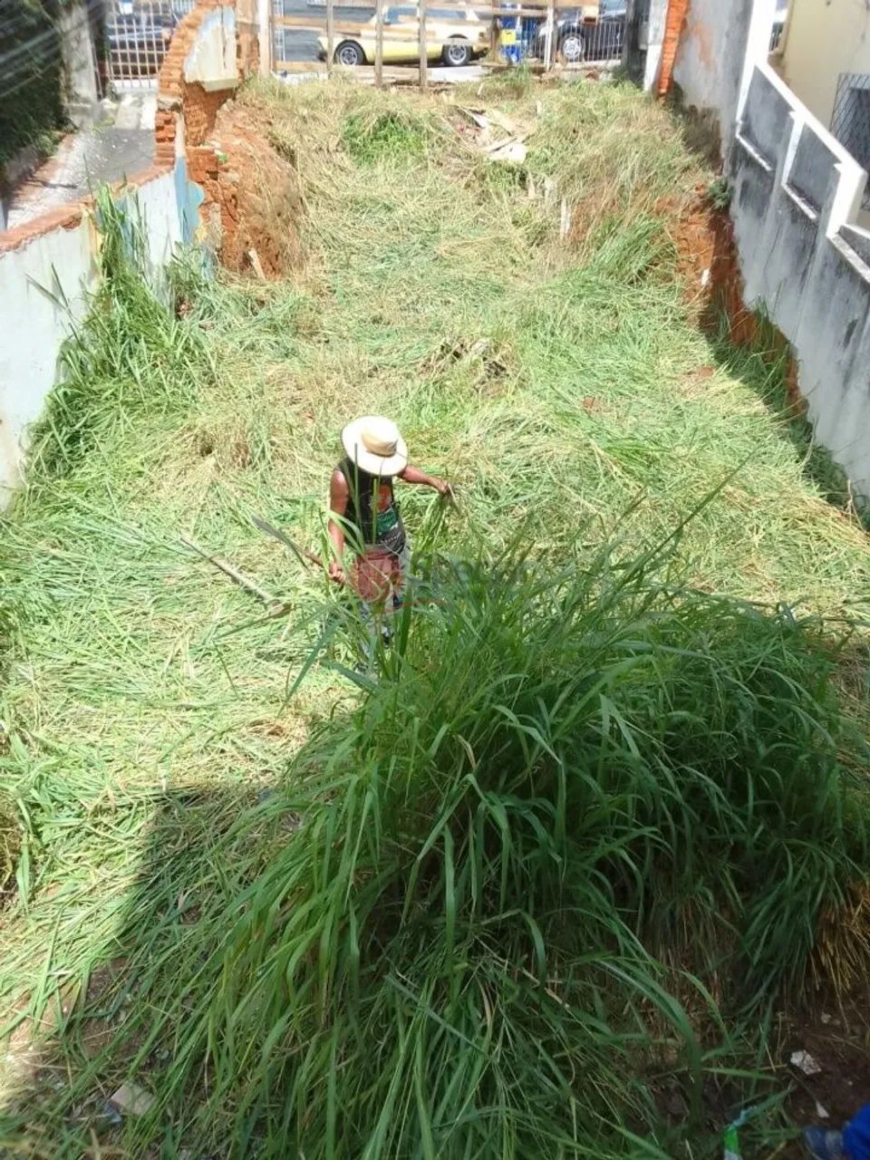 Terreno Parada Inglesa no Tucuruvi. - Foto 3