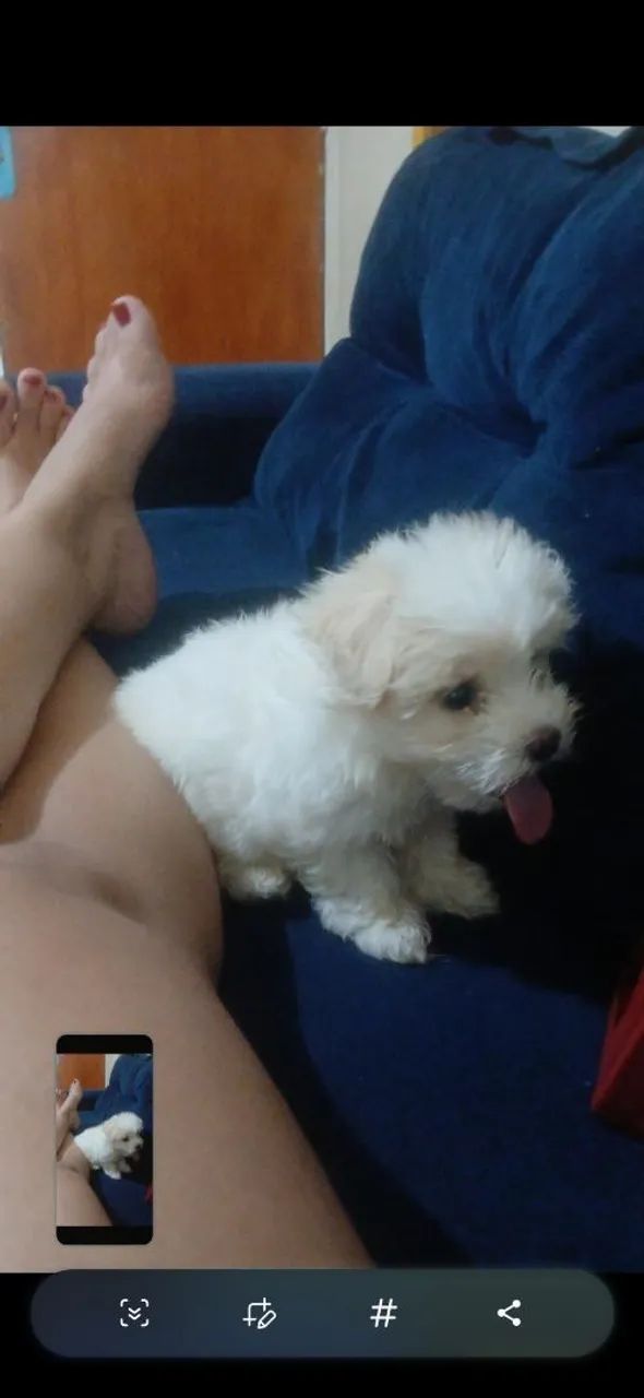 Vendo - Foto 2