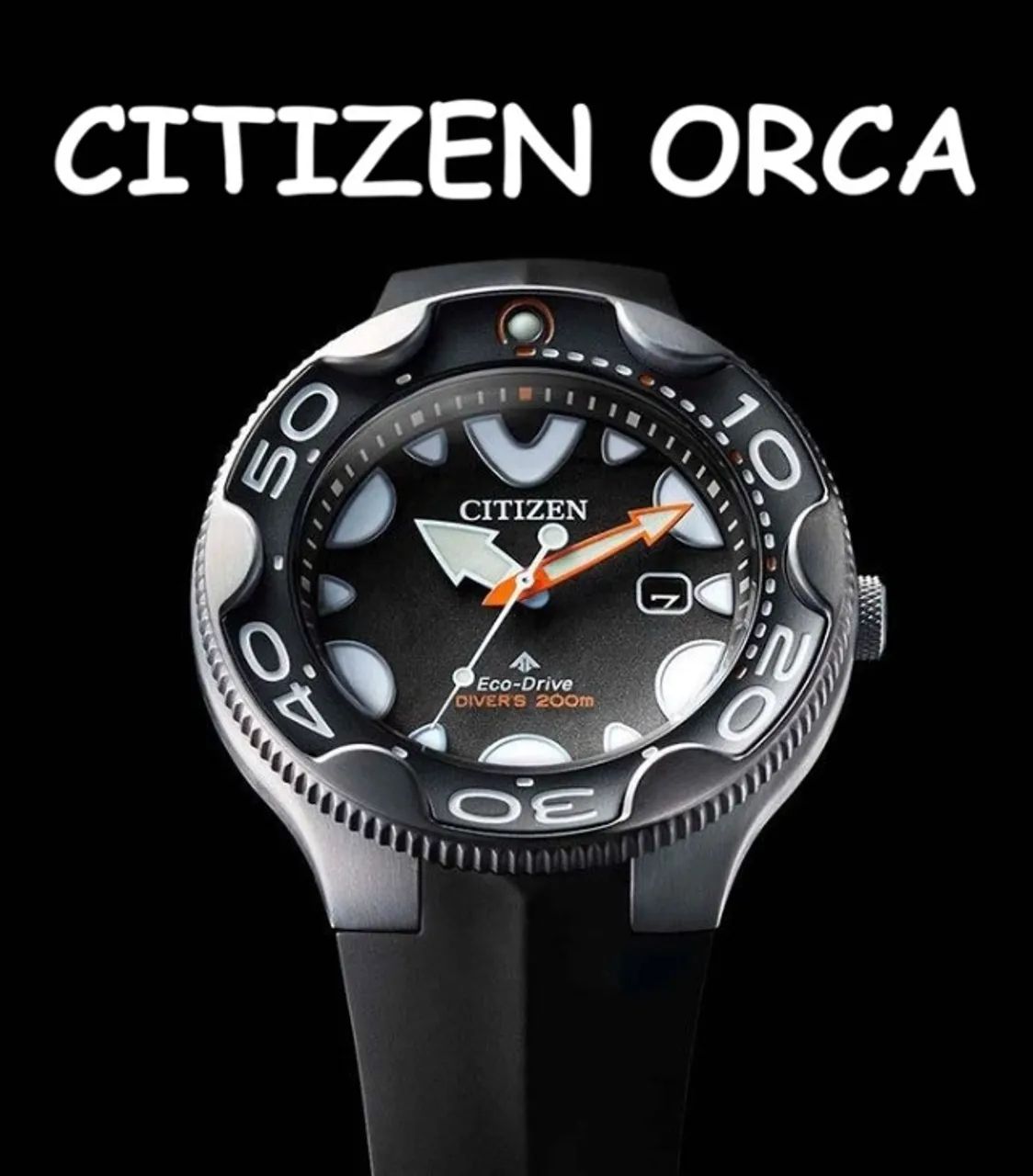 Citizen Orca Promaster Eco-drive - Acessórios - Centro, Valinhos