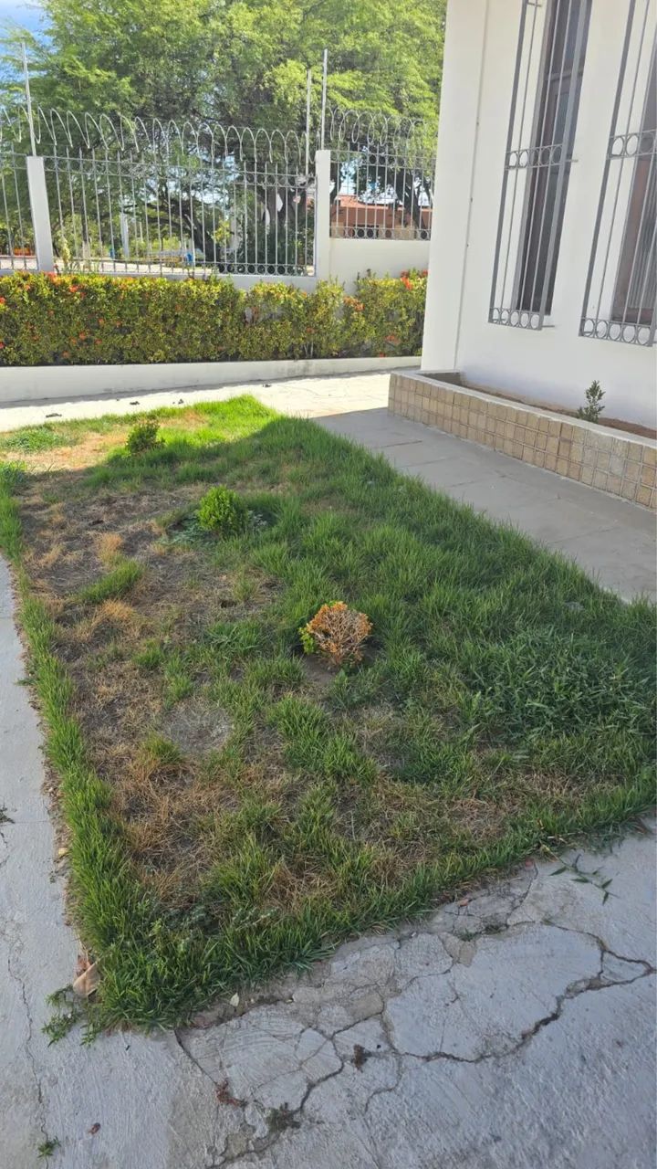JARDINEIRO - Foto 2