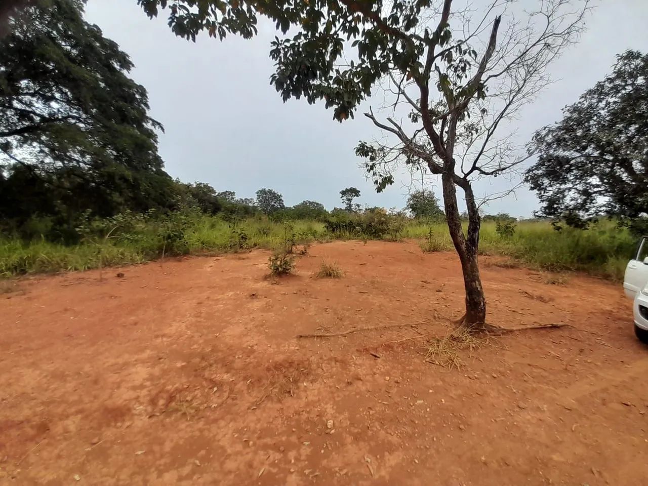 Lotes de 1000m² são Vicente baldin - Foto 2