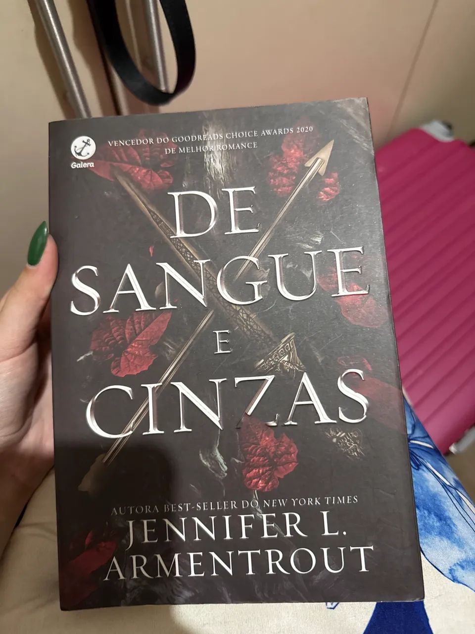Livro de sangue e cinzas novo