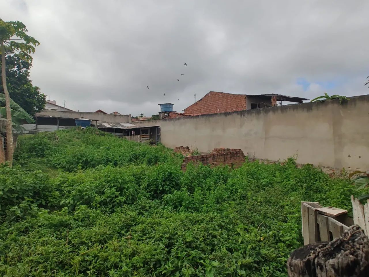 TERRENO EM BOA LOCALIZAÇÃO EM GRAVATÁ!!! - Foto 2