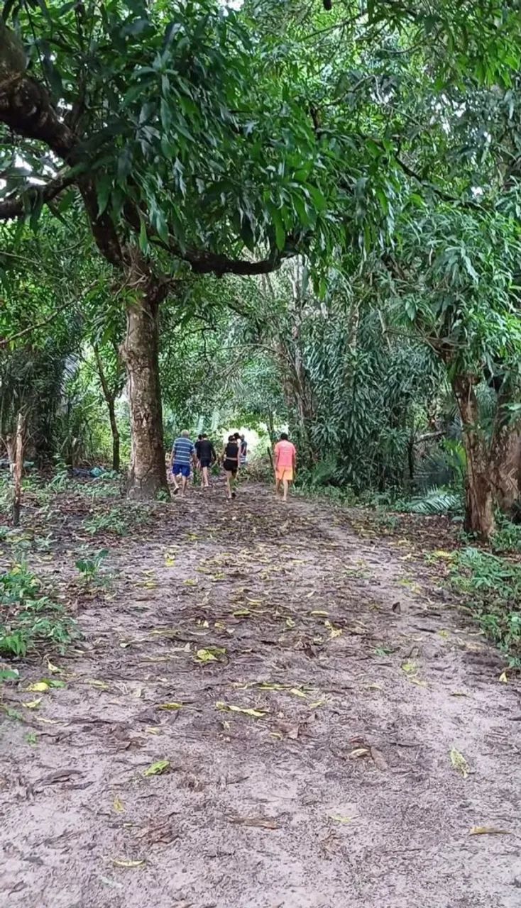 Fazenda a venda  - Foto 3