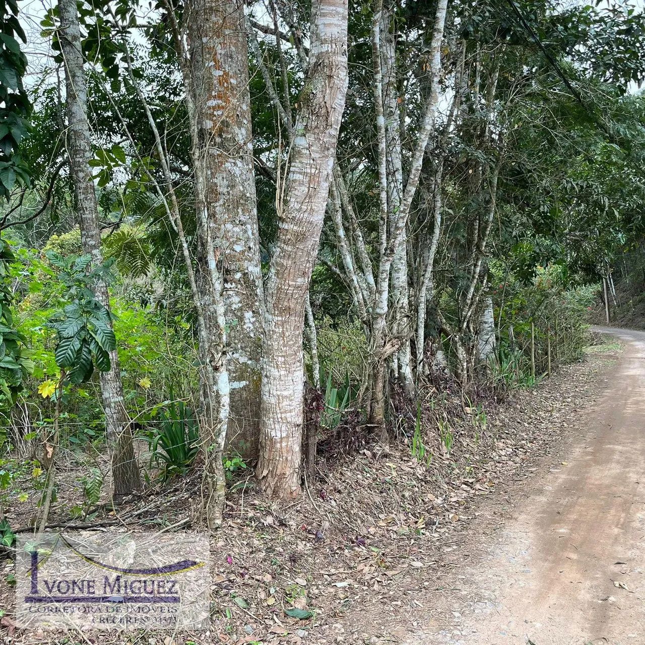 Terreno em Cinco Lagos - Mendes - Foto 5
