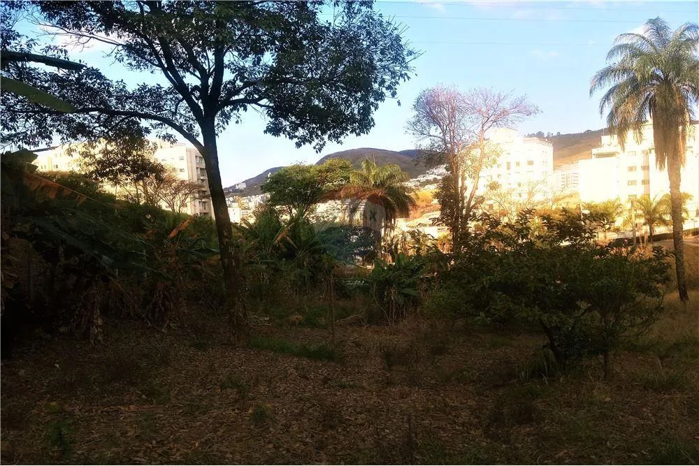ÓTIMO TERRENO COM 5600m² NO BAIRRO BURITIS - BELO HORIZONTE - Foto 3
