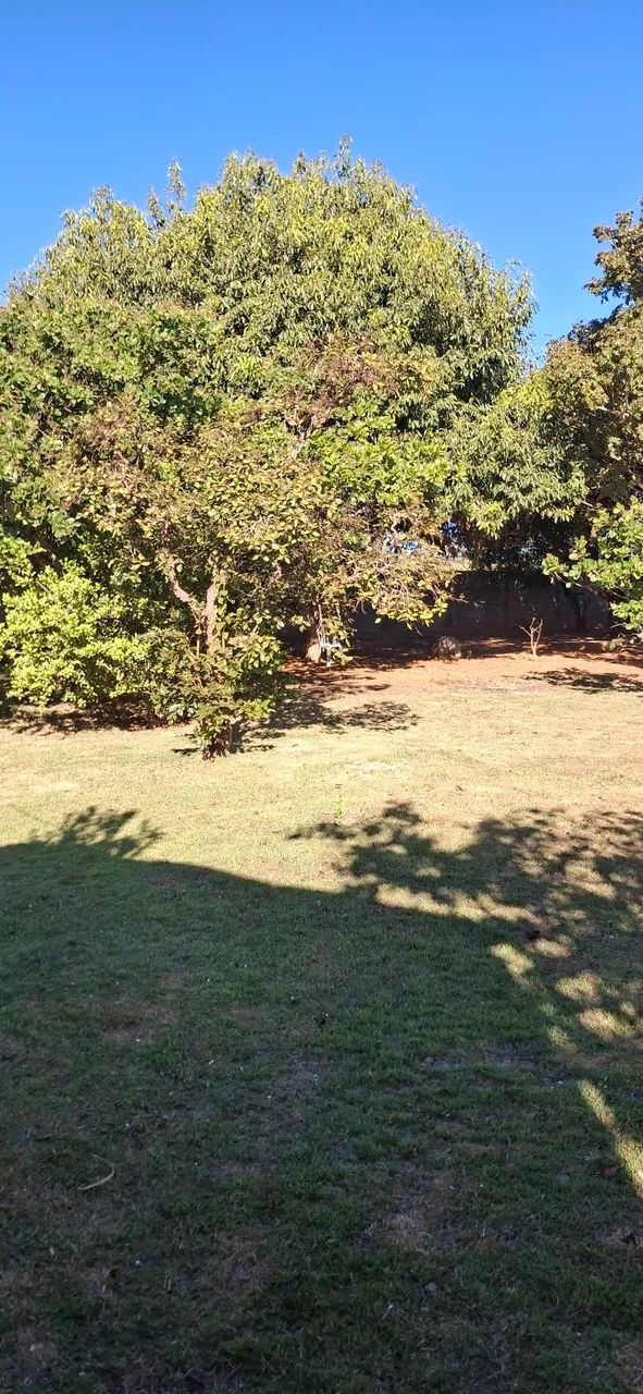 VENDE CHÁCARA - Foto 3