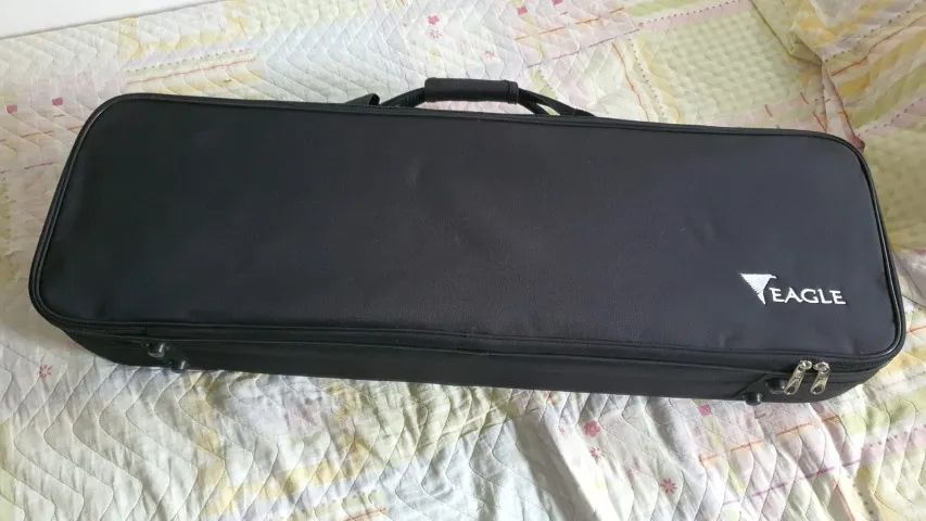 Violino Eagle _4/4 ve441 - Foto 5