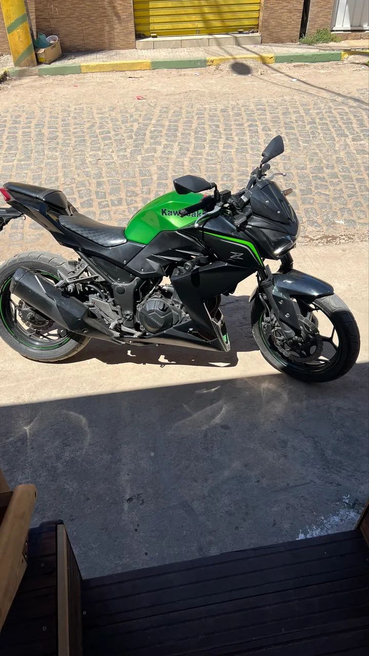 Z300 - Foto 4