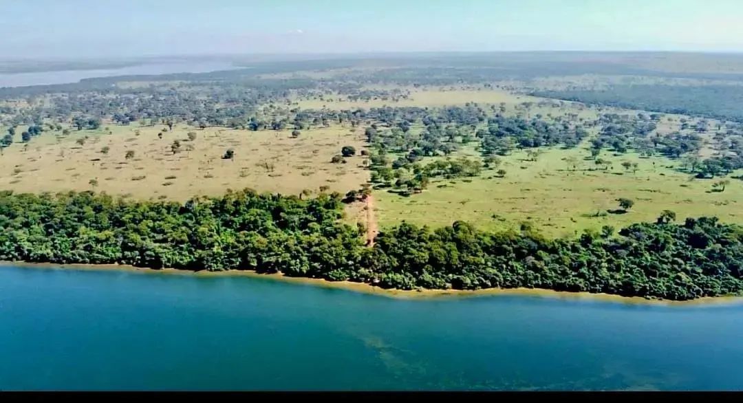 Imóvel para venda FAZENDA À VENDA | BATAGUASSU / MS - Foto 2
