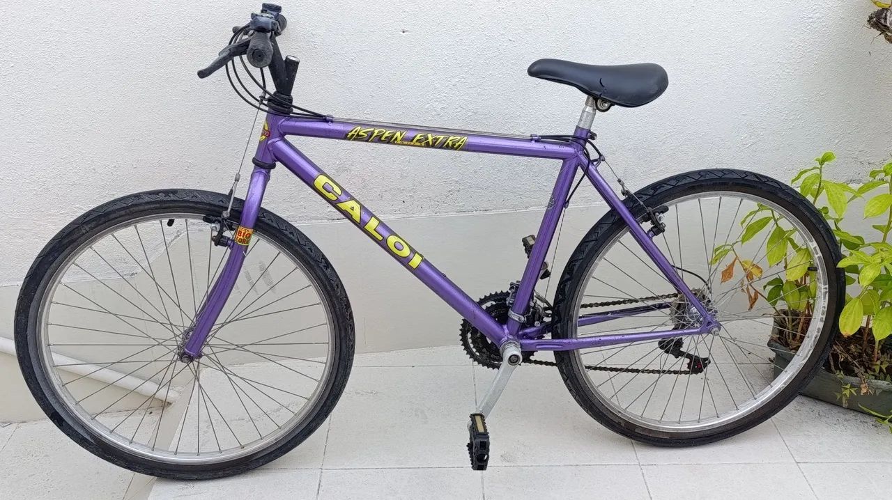 Caloi Aspen Extra Aro 26