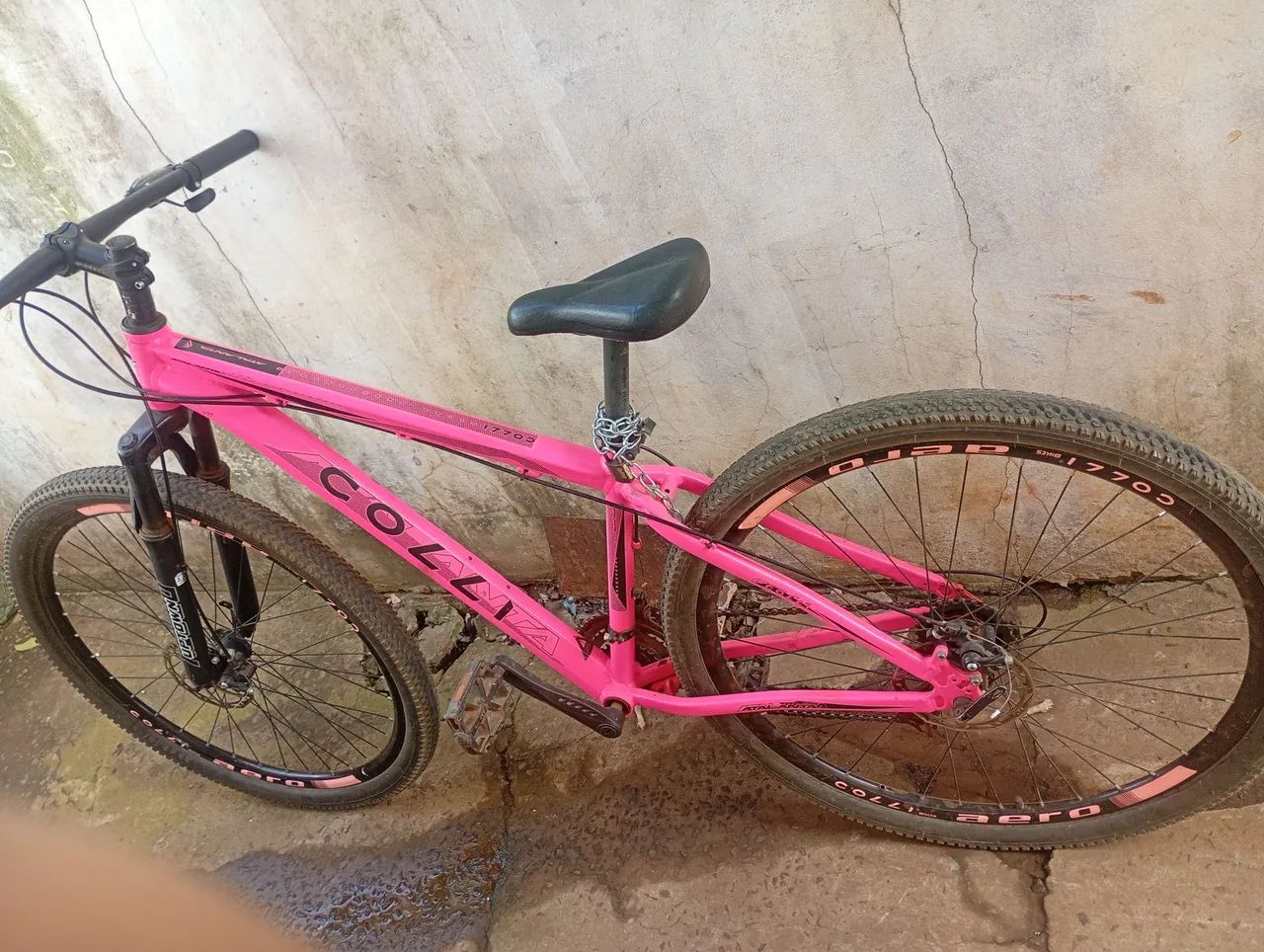 Bicicleta 