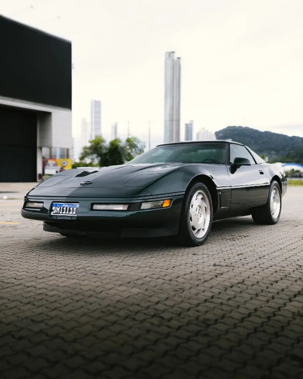 Chevrolet Corvette 5.7/ 6.0, 6.2 Targa/stingray 1995