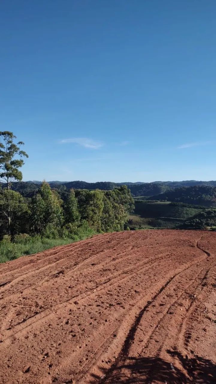 TERRENO EM MELGAÇO ES  - Foto 3