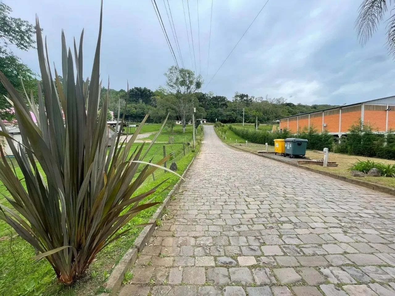 CAXIAS DO SUL - Terreno Padrão - LINHA 40 - Foto 2