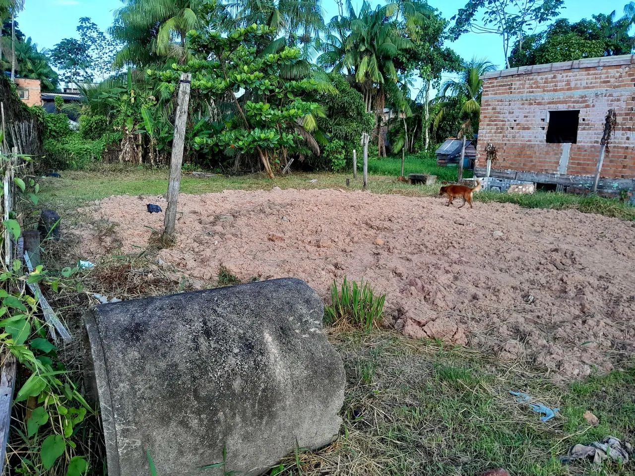 Terreno amplo  - Foto 5