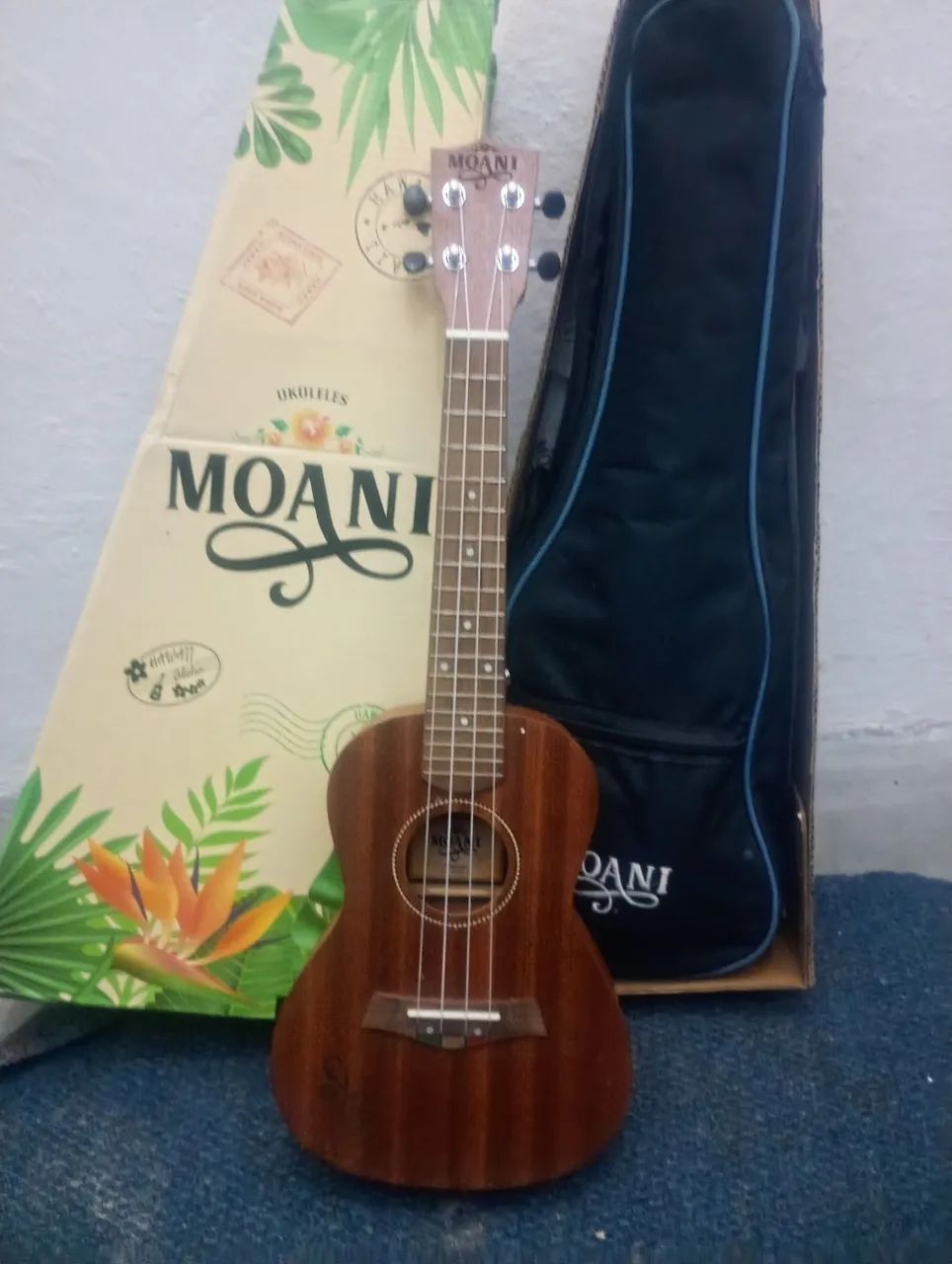 Ukulele moani concert - Foto 2