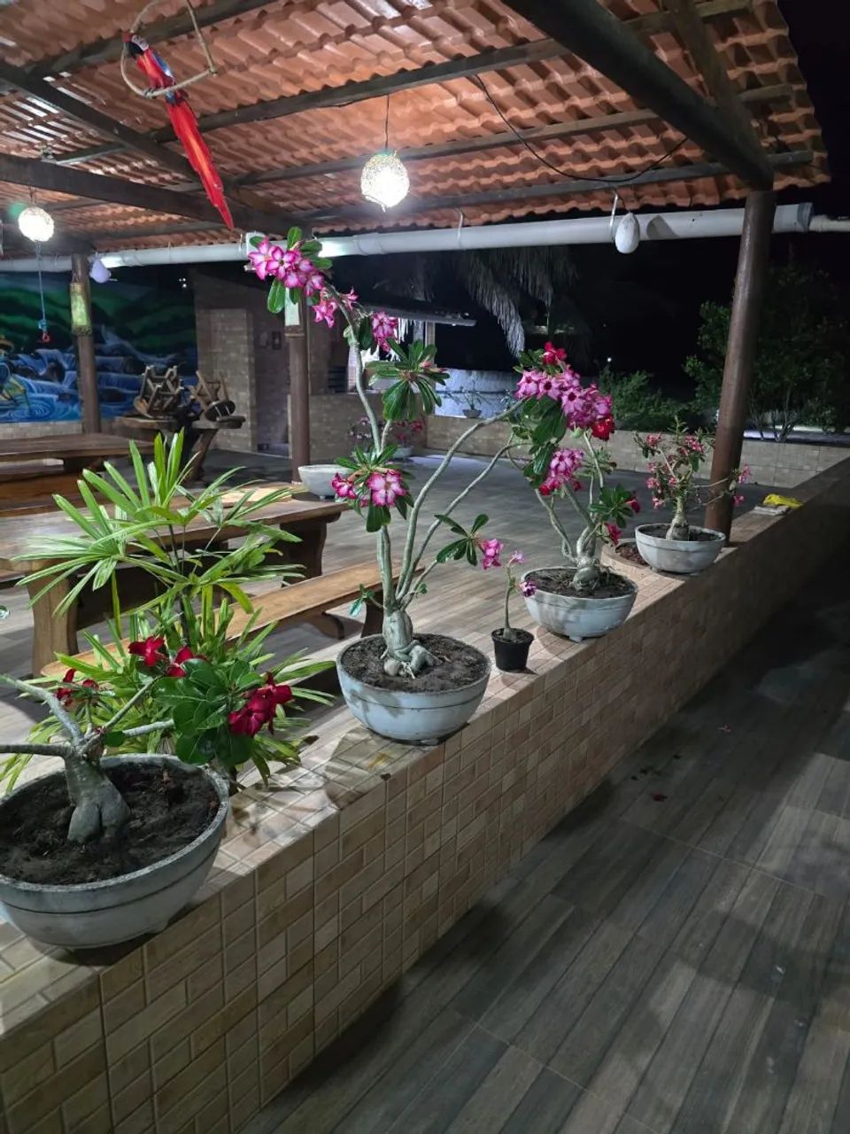 Sitio para temporada . - Foto 4