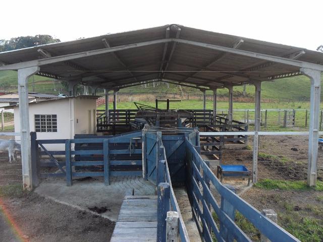 Fazenda para Gado - Foto 6
