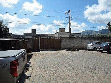 Apartamento para alugar com 3 dormitórios em Flávio de oliveira, Belo horizonte cod:71613