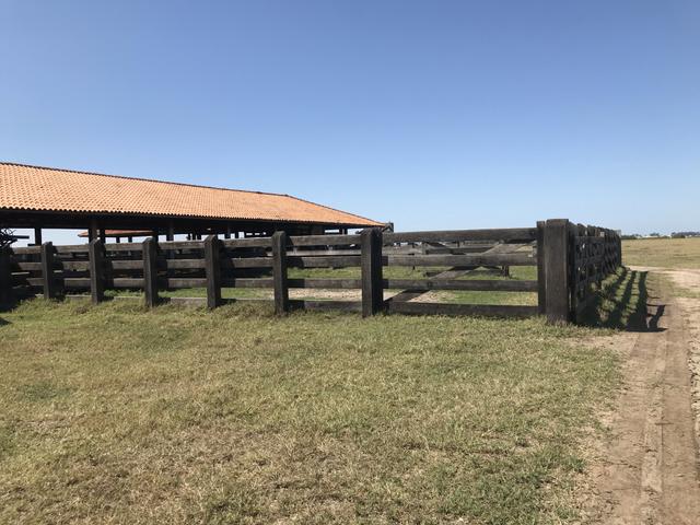Ótima propriedade em Boa Vista com 55 alqueires - Foto 14