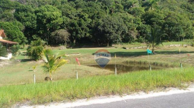 Terreno residencial à venda, praia de mogiquiçaba, belmonte. - Foto 8