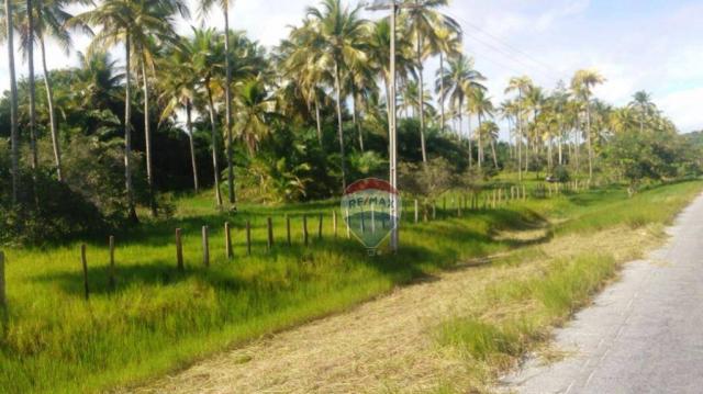 Terreno residencial à venda, praia de mogiquiçaba, belmonte. - Foto 2