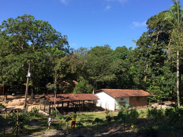 Axixá - Maranhão: Excelente Fazenda p/ Vender