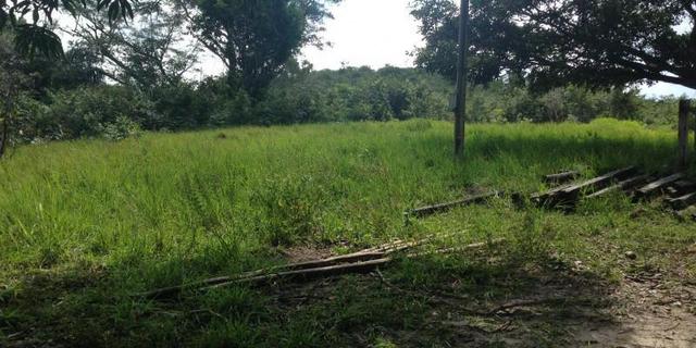 Morros - Ma: Vendo uma Excelente Propriedade Rural - Foto 2